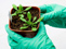 Video e Comunicazioni originali Herbalife! La scienza di Herbalife